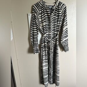 H&M Zebra Print Button-Up Dress